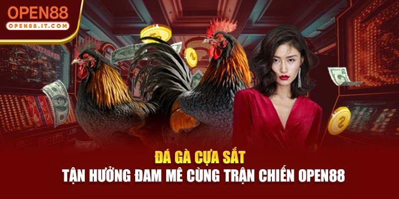 Đá Gà Cựa Sắt – Tận Hưởng Đam Mê Cùng Trận Chiến OPEN88