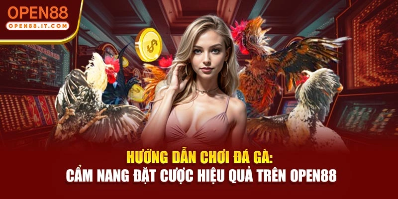 Hướng Dẫn Chơi Đá Gà: Cẩm Nang Đặt Cược Hiệu Quả Trên OPEN88