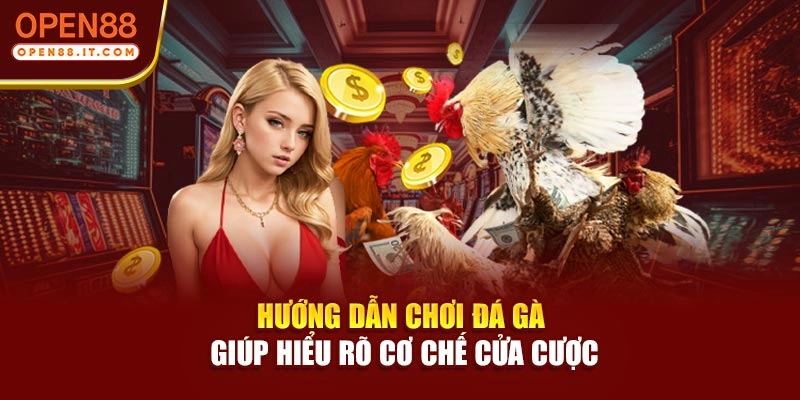 Hướng dẫn chơi đá gà giúp hiểu rõ cơ chế cửa cược