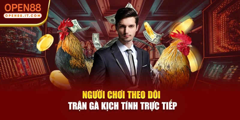 Người chơi theo dõi trận gà kịch tính trực tiếp